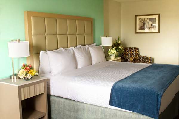  - Best Western Toledo South Maemee Hotel - I-475, Exit 6