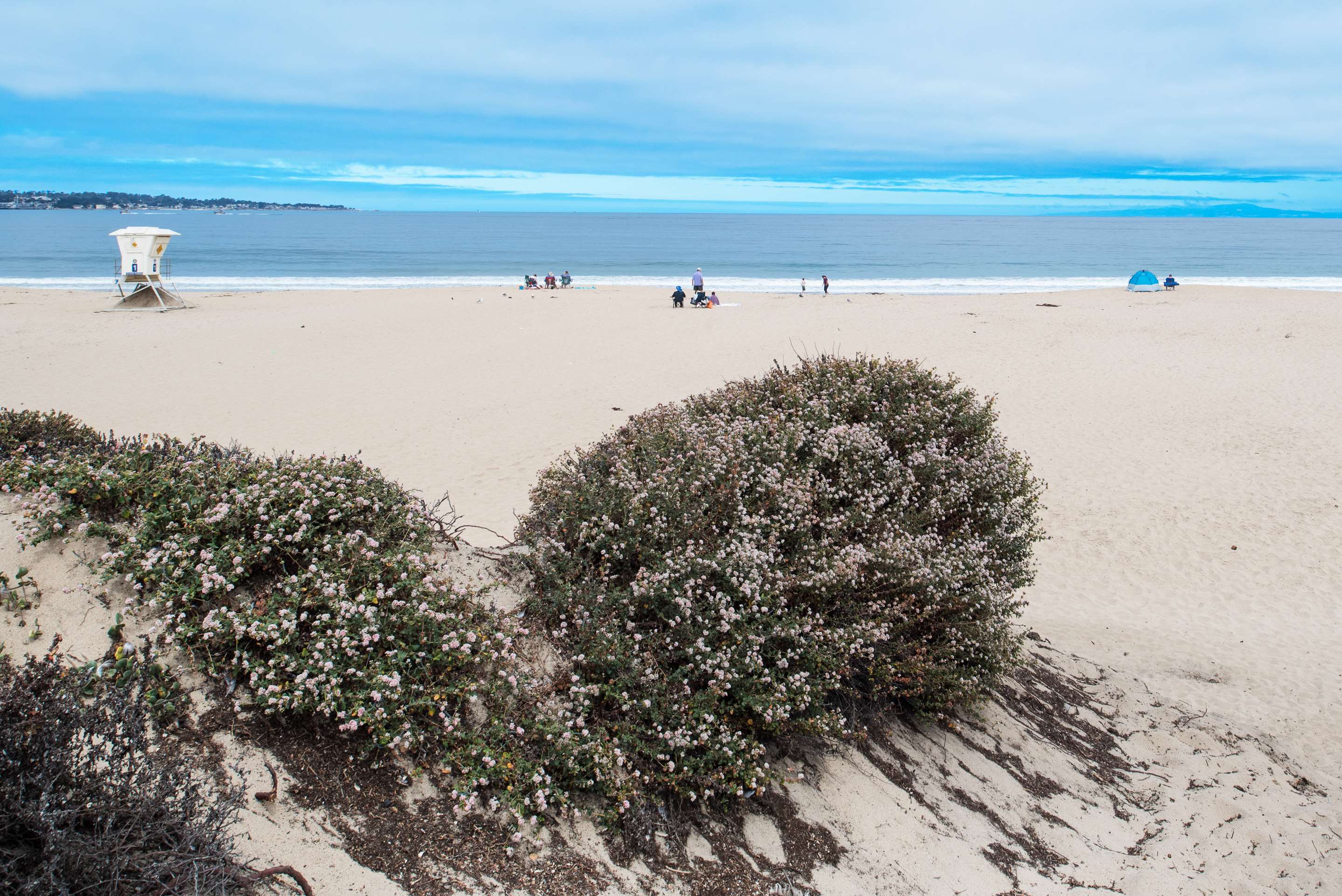 Beach | Hampton Inn Monterey