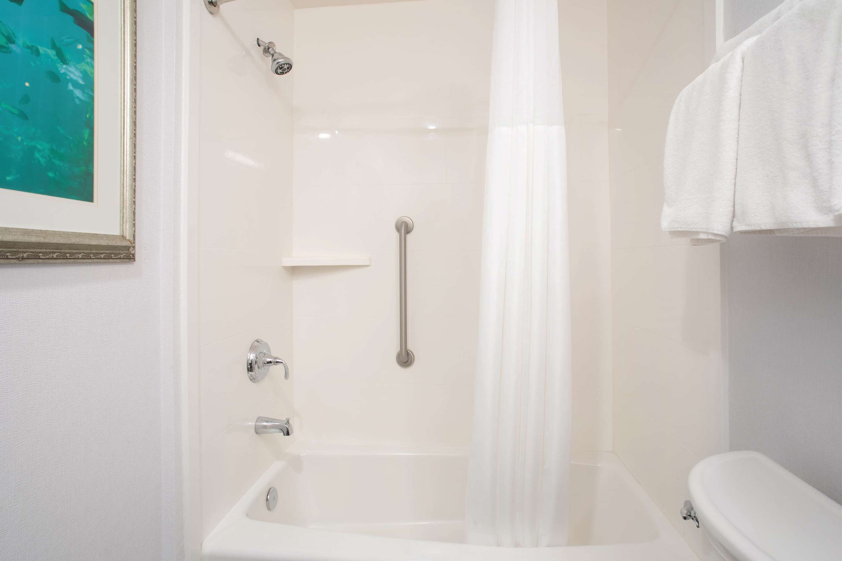 Guest room bath