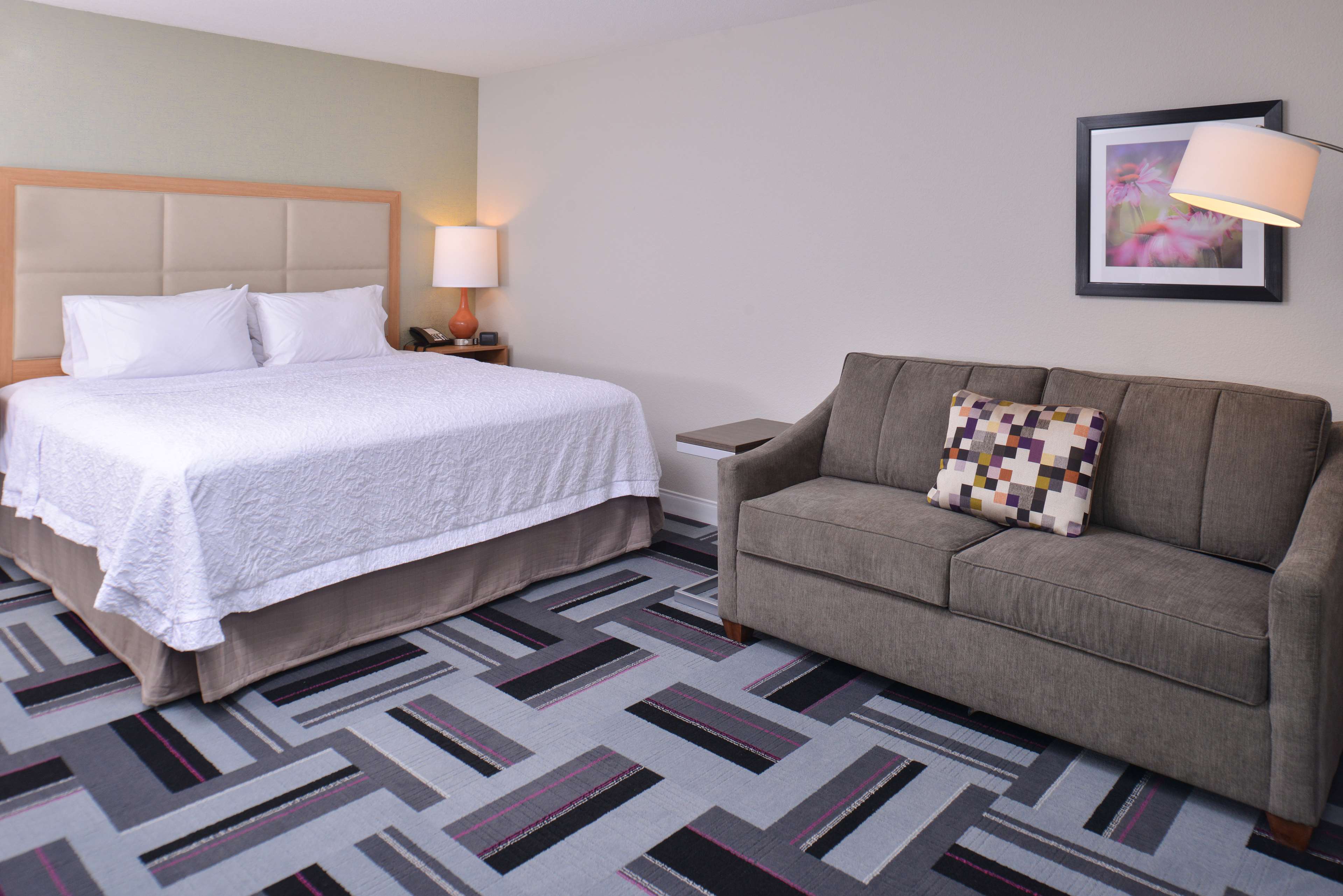 Hampton Inn & Suites by Hilton Ames Room Type - 1 KING SFBD MIC FRG NS