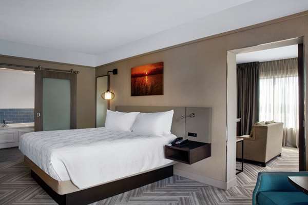  - Hilton Garden Inn Downtown Mobile - I-10, Exit 26B