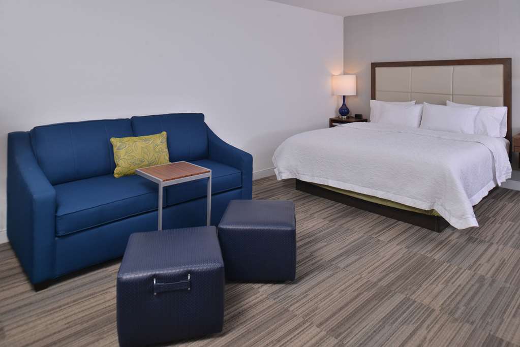 Hampton Inn & Suites by Hilton Ann Arbor West Room Type - 1 KNG HEARING ACC NOSMOK