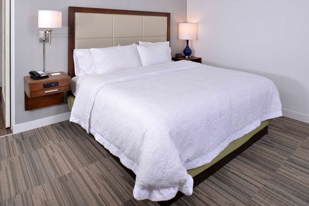Hampton Inn & Suites by Hilton Ann Arbor West Room Type - 1KN MOB HEA ACC RIS STU NS