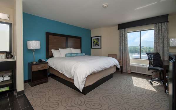  - Best Western Travelers Rest Greenville Hotel