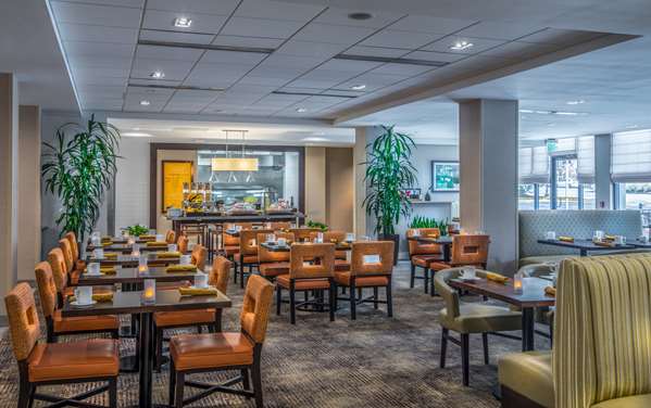 Restaurant - Hilton Garden Inn Reagan National Airport Arlington