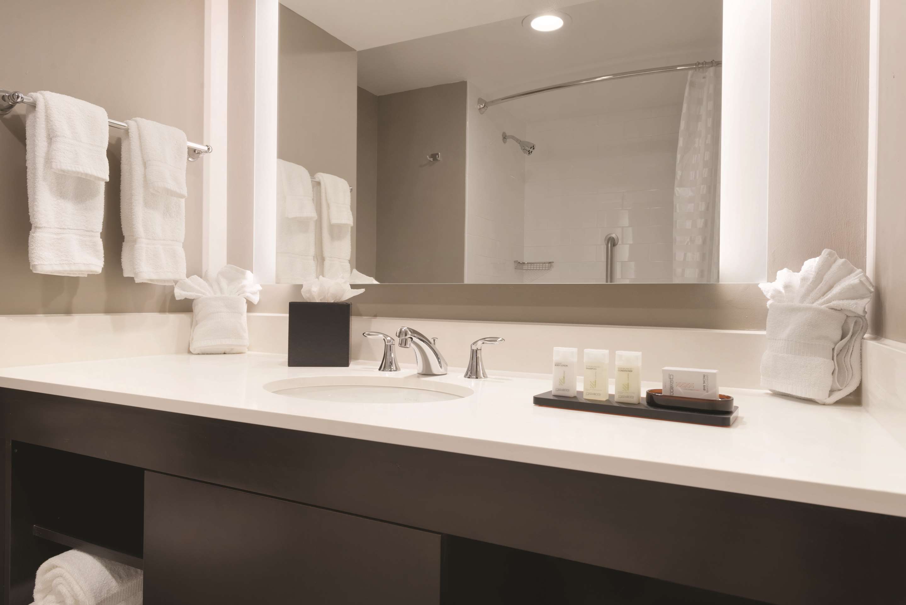 Guest room bath