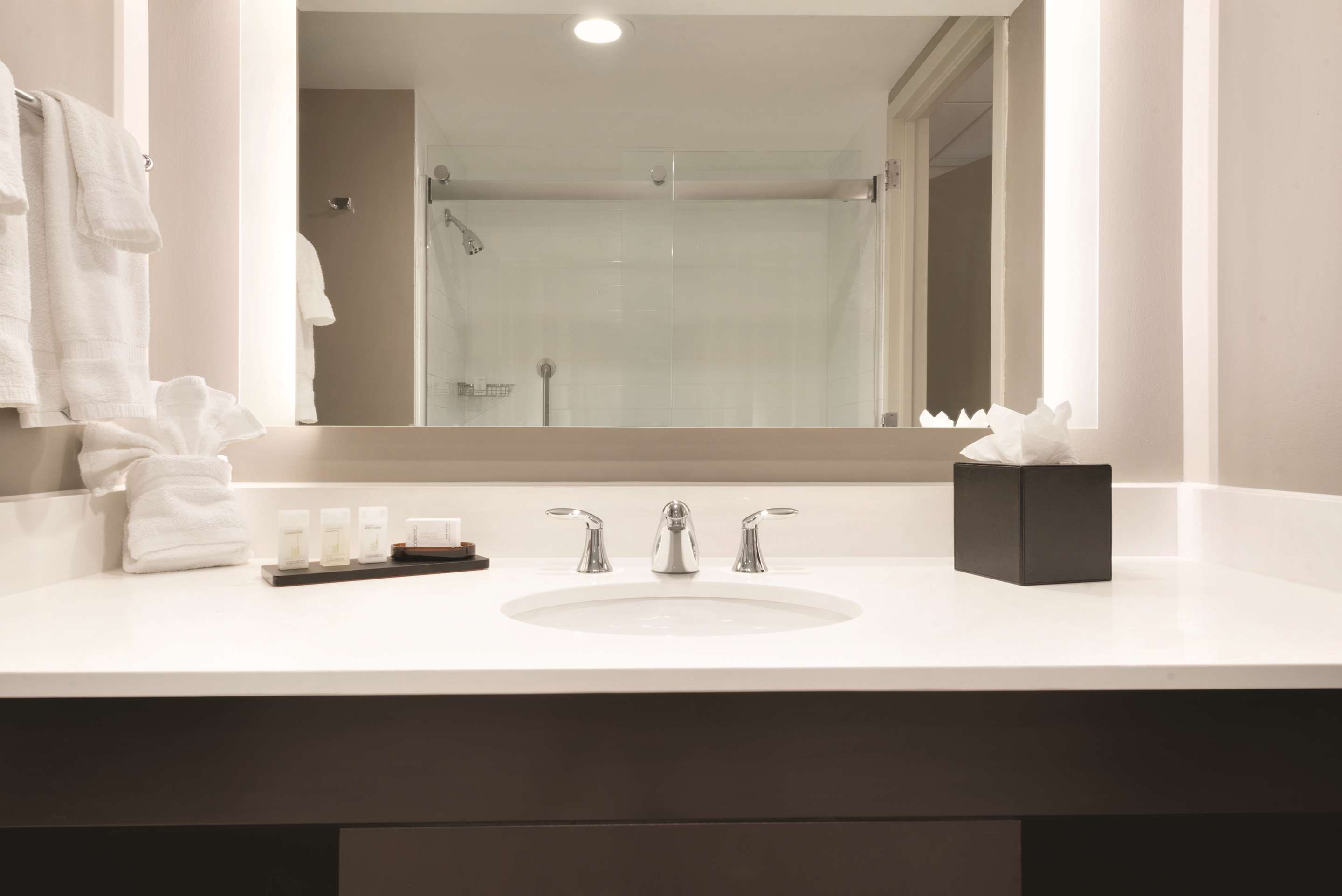 Guest room bath