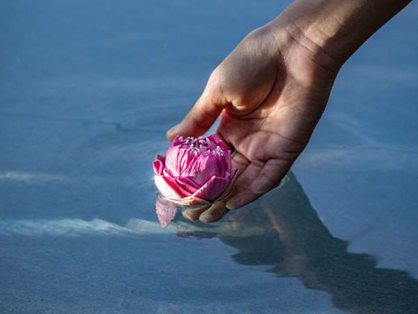 Avista Hideaway Patong Resort & Spa Phuket - MGallery Collection