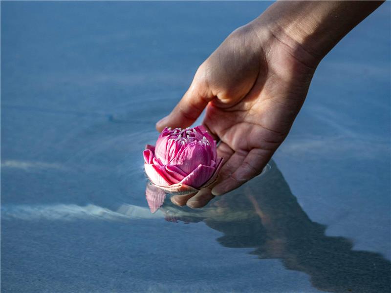 Avista Hideaway Patong Resort & Spa Phuket - MGallery Collection