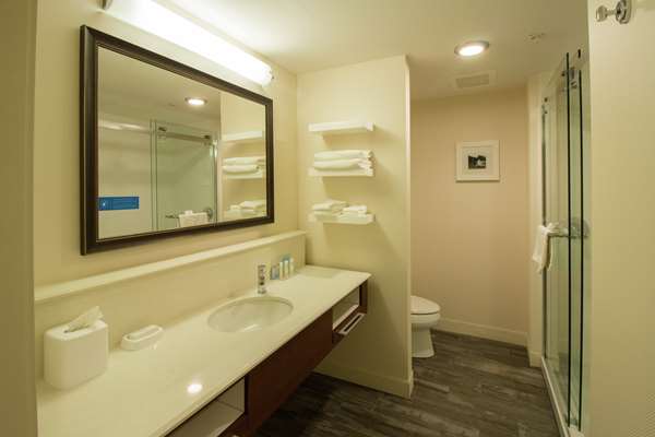  - Hampton Inn & Suites Cazenovia