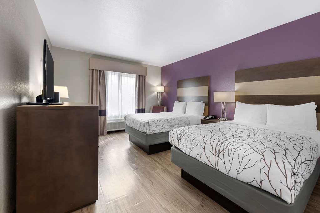 Best Western Plus Buda Austin Inn & Suites-guestroom-Guest Room,On-Site.jpg