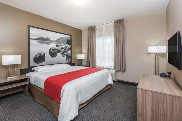 Suite - Super 8 Hotel Mont Laurier