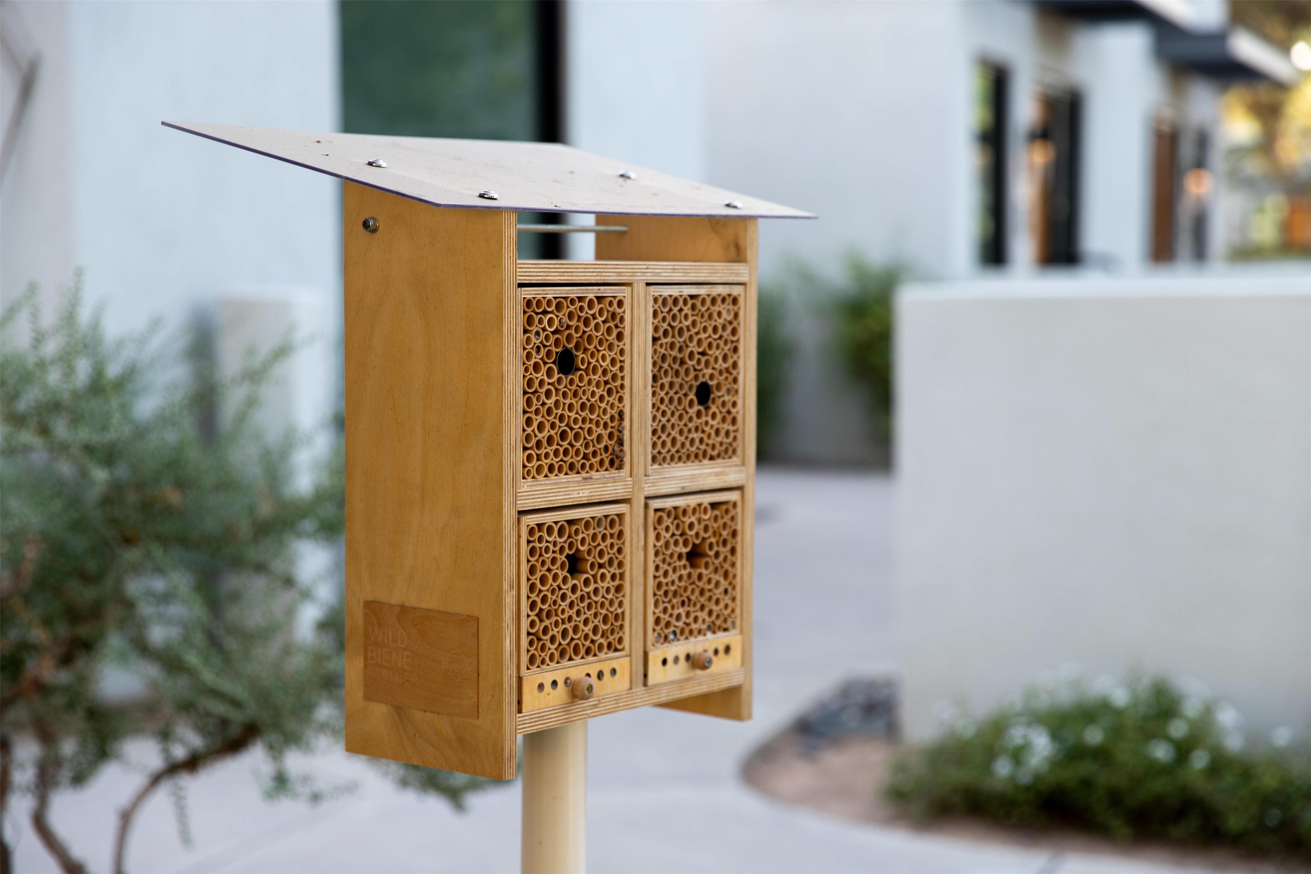 Recreational Facilities | Andaz Scottsdale Resort & Bungalows