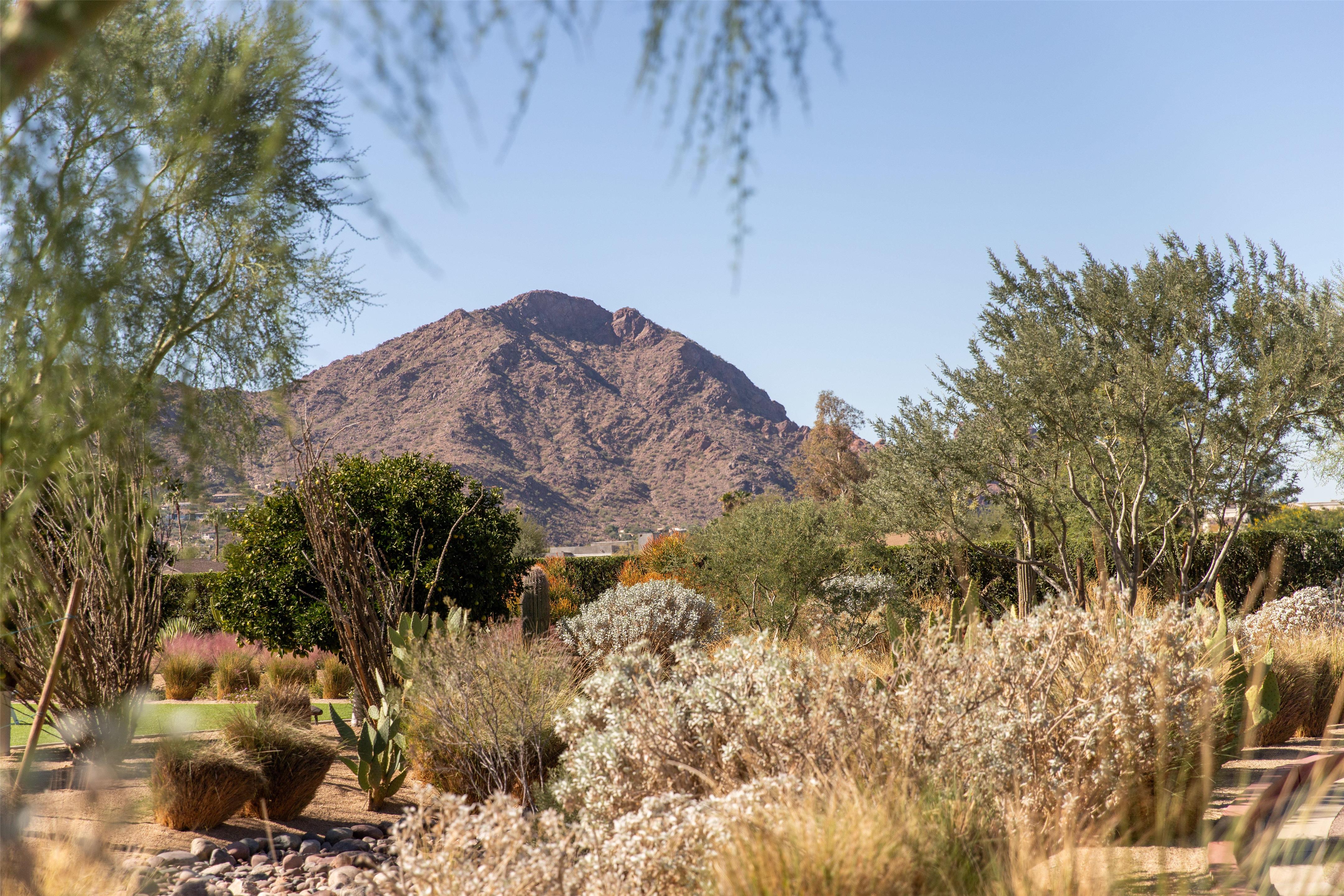 Recreational Facilities | Andaz Scottsdale Resort & Bungalows