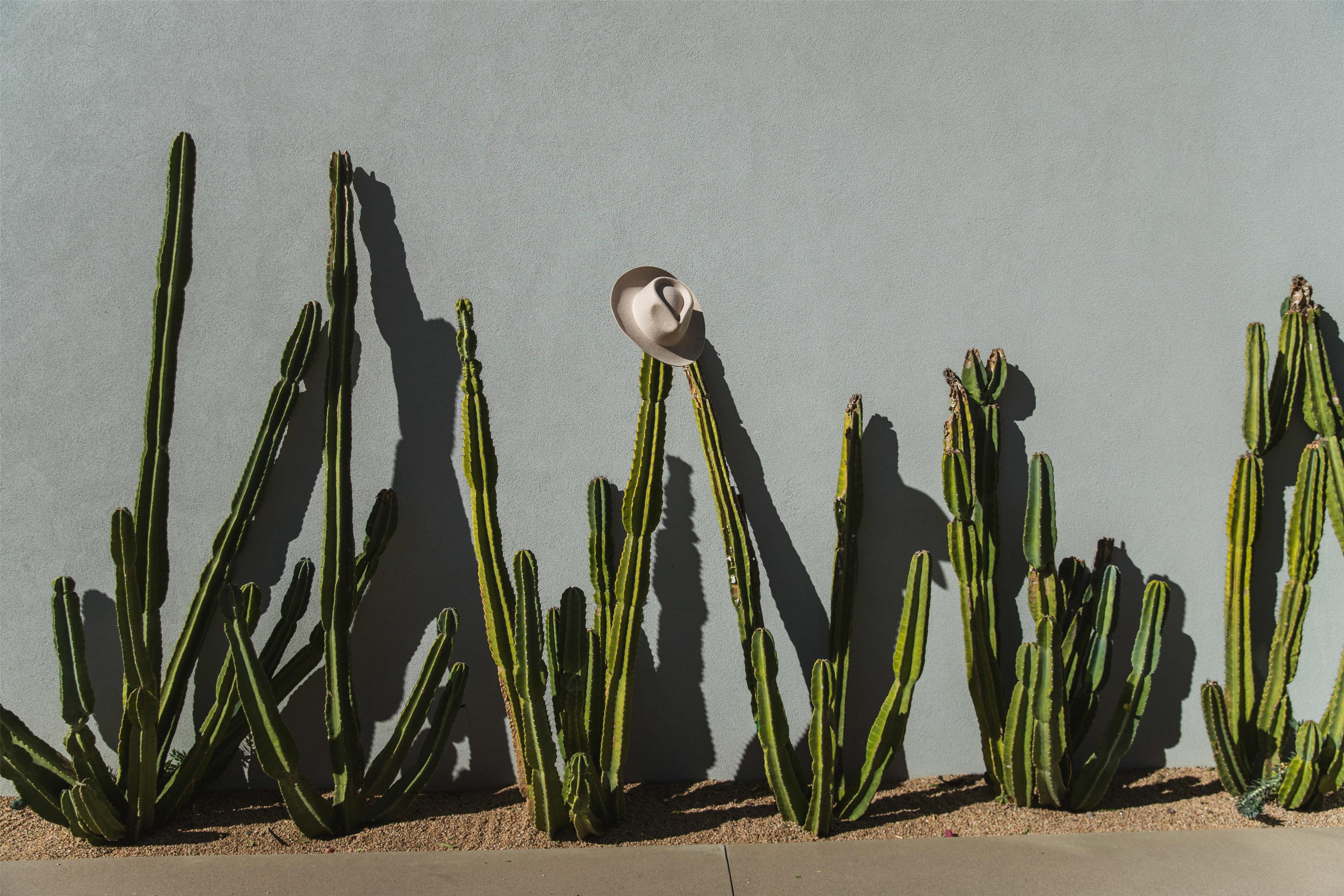 Recreational Facilities | Andaz Scottsdale Resort & Bungalows