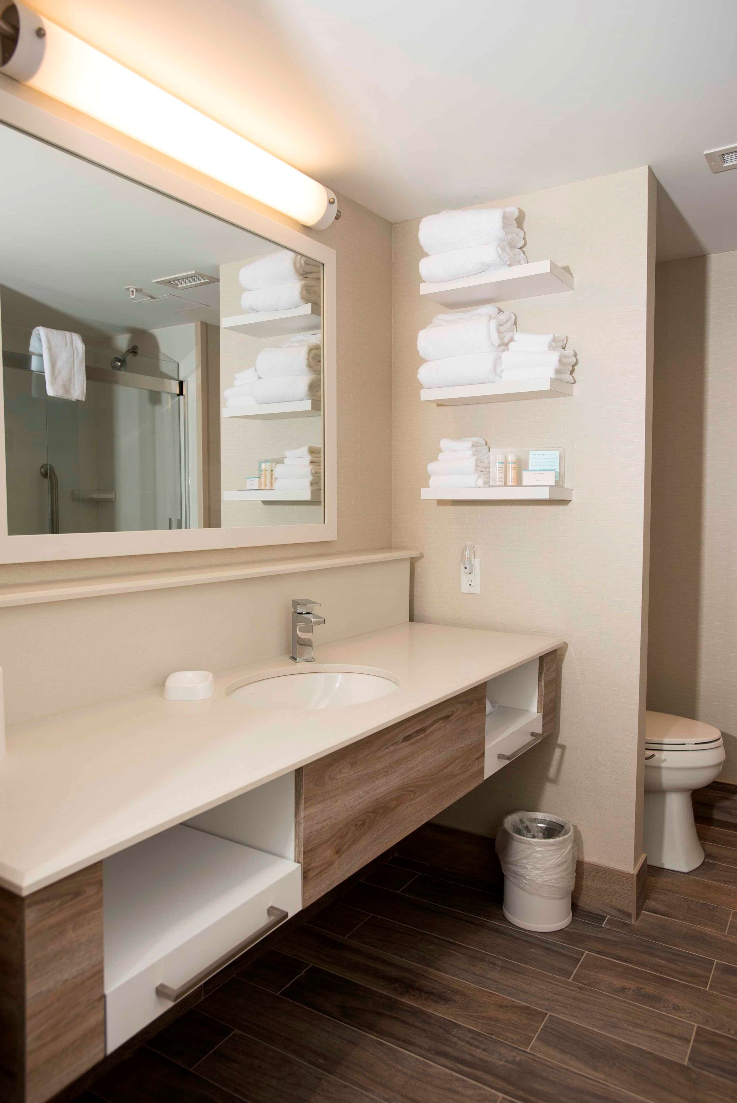 Hampton Inn & Suites by Hilton Thunder Bay Room Type - 1 KING SFBD FRG NS