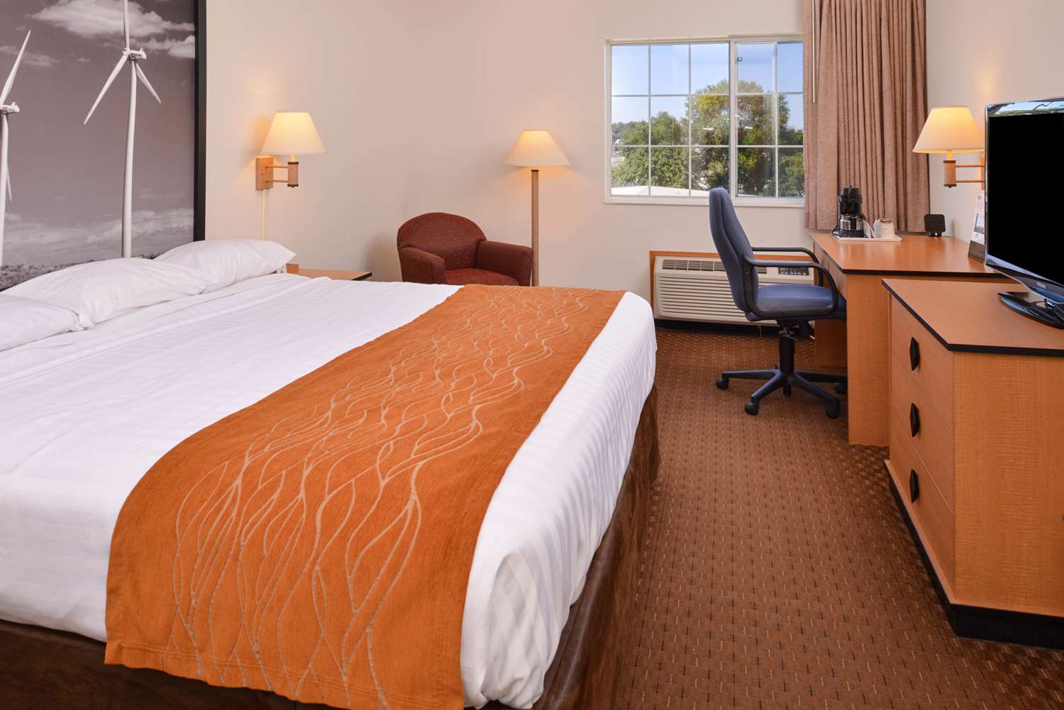 1 King Bed Non-Smoking image
