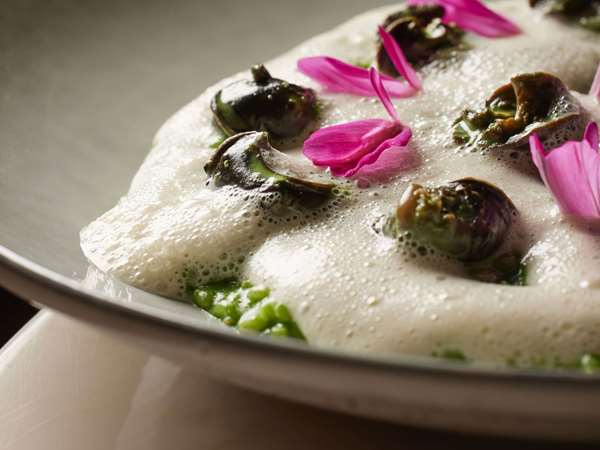 5 Terres Hôtel & Spa - MGallery Collection