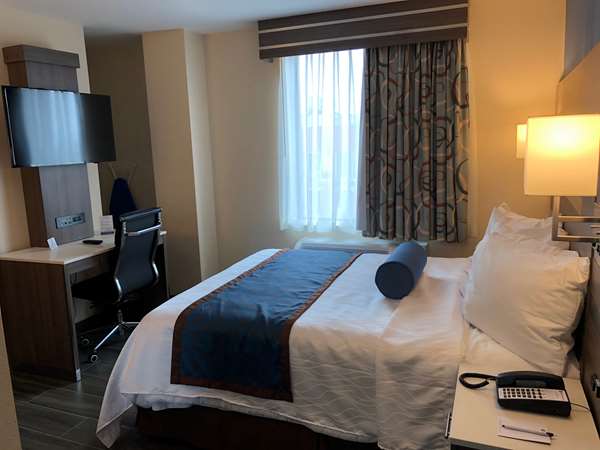  - Best Western Plus Stadium Inn Bronx - I-87, Exit 5