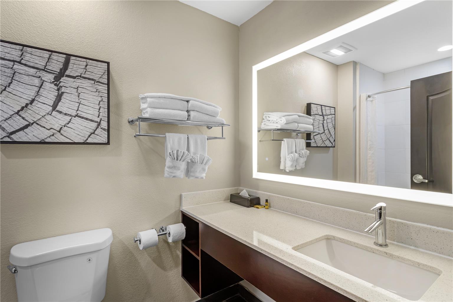 Best Western Plus Bay City Inn & Suites-guestroom-Guest Room,Bathroom,On-Site.jpg