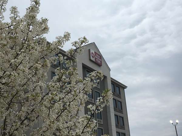 Exterior view - Best Western Plus Spartanburg Hotel - I-85, Exit 75