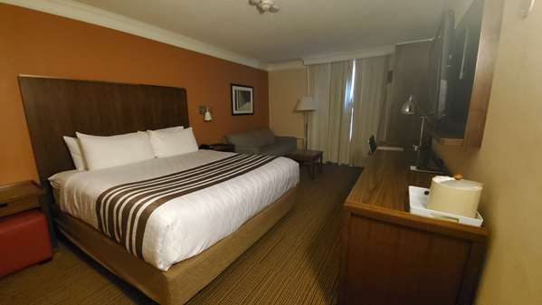  - Best Western Plus Waterloo Hotel