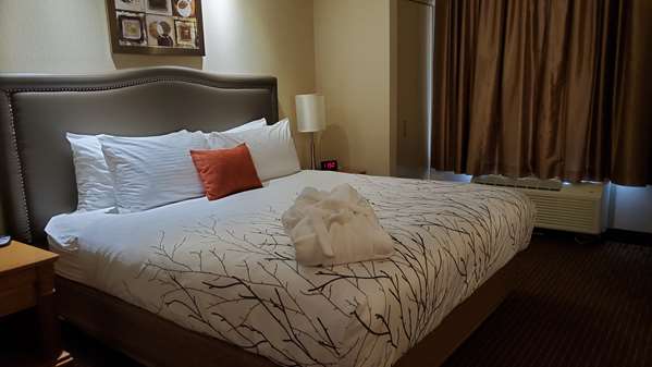  - Best Western Plus Waterloo Hotel
