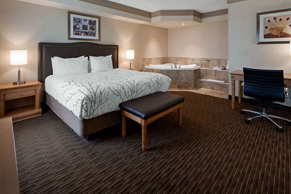  - Best Western Plus Waterloo Hotel