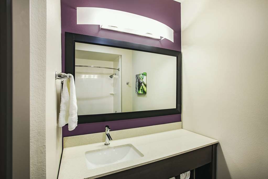 LA QUINTA INN STE MCALLEN LA PLAZA-guestroom-Guest Room,Bathroom,On-Site.jpg