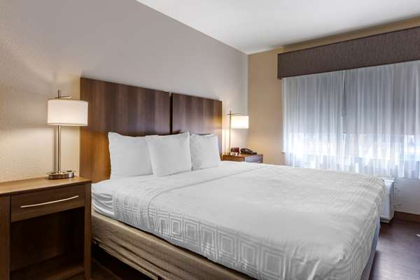  - Best Western North Phoenix Hotel - I-17, Exit 207
