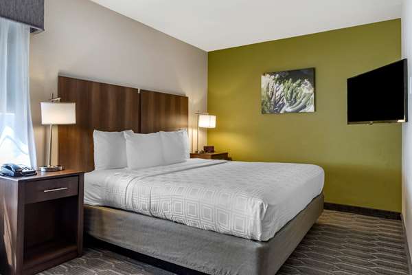  - Best Western North Phoenix Hotel - I-17, Exit 207