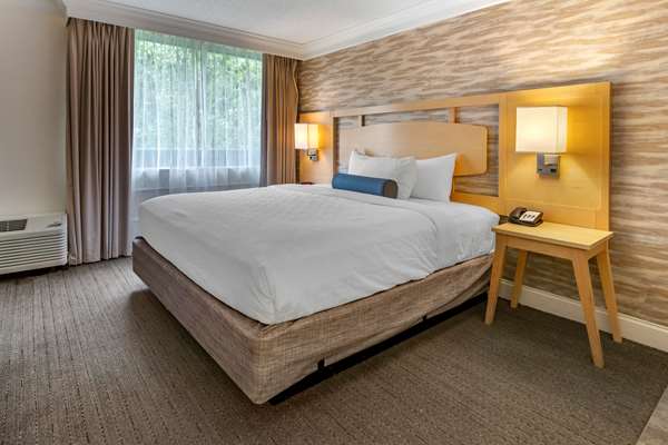 Suite - Best Western Plus University Inn Winston Salem