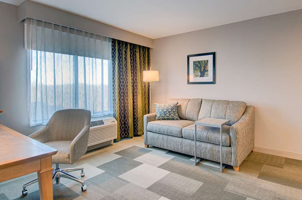 Hampton Inn by Hilton Boston - Westborough Room Type - 1 KNG ACC TUB SOFABED NS