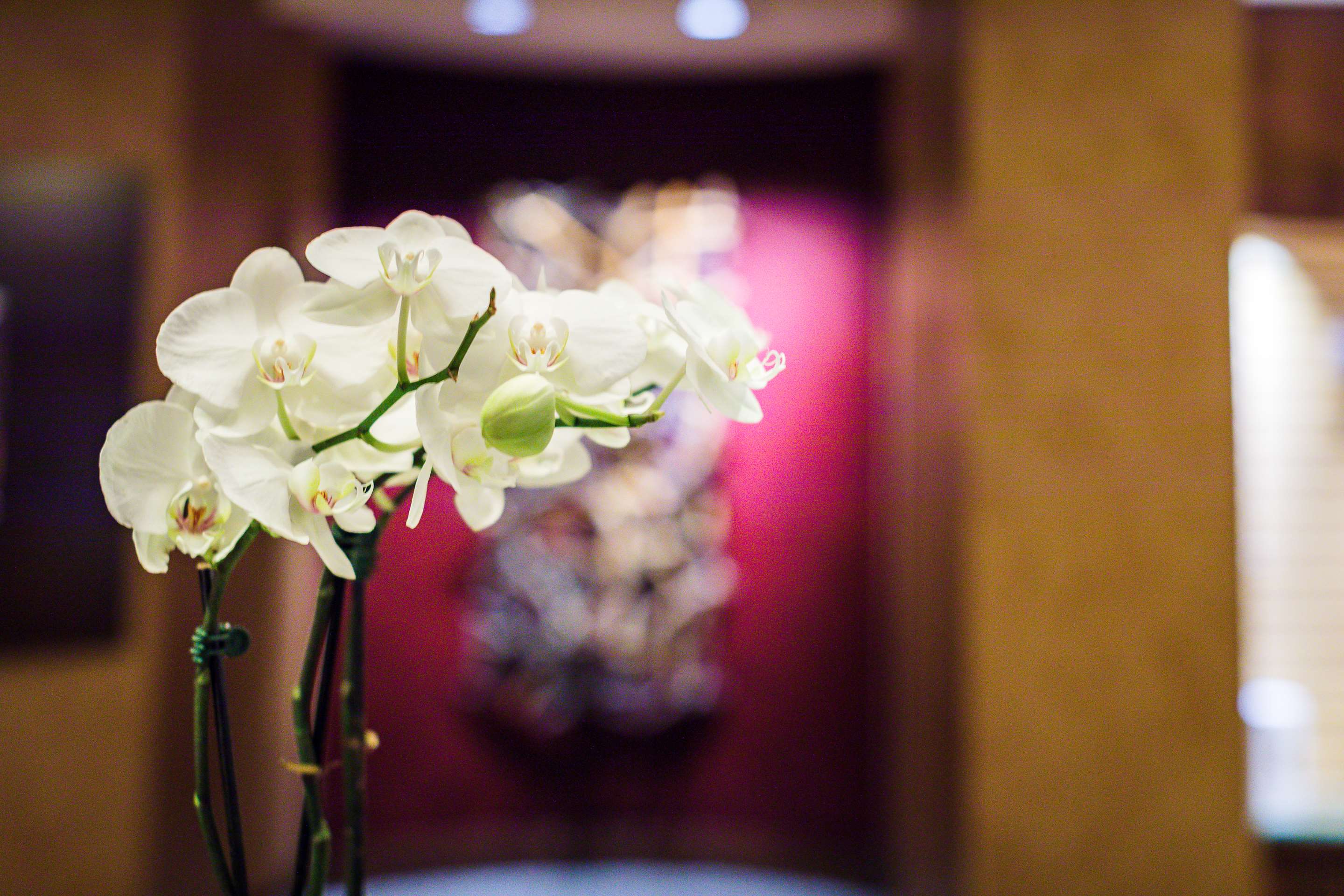 Restaurant | The Inverness Denver, a Hilton Golf & Spa Resort