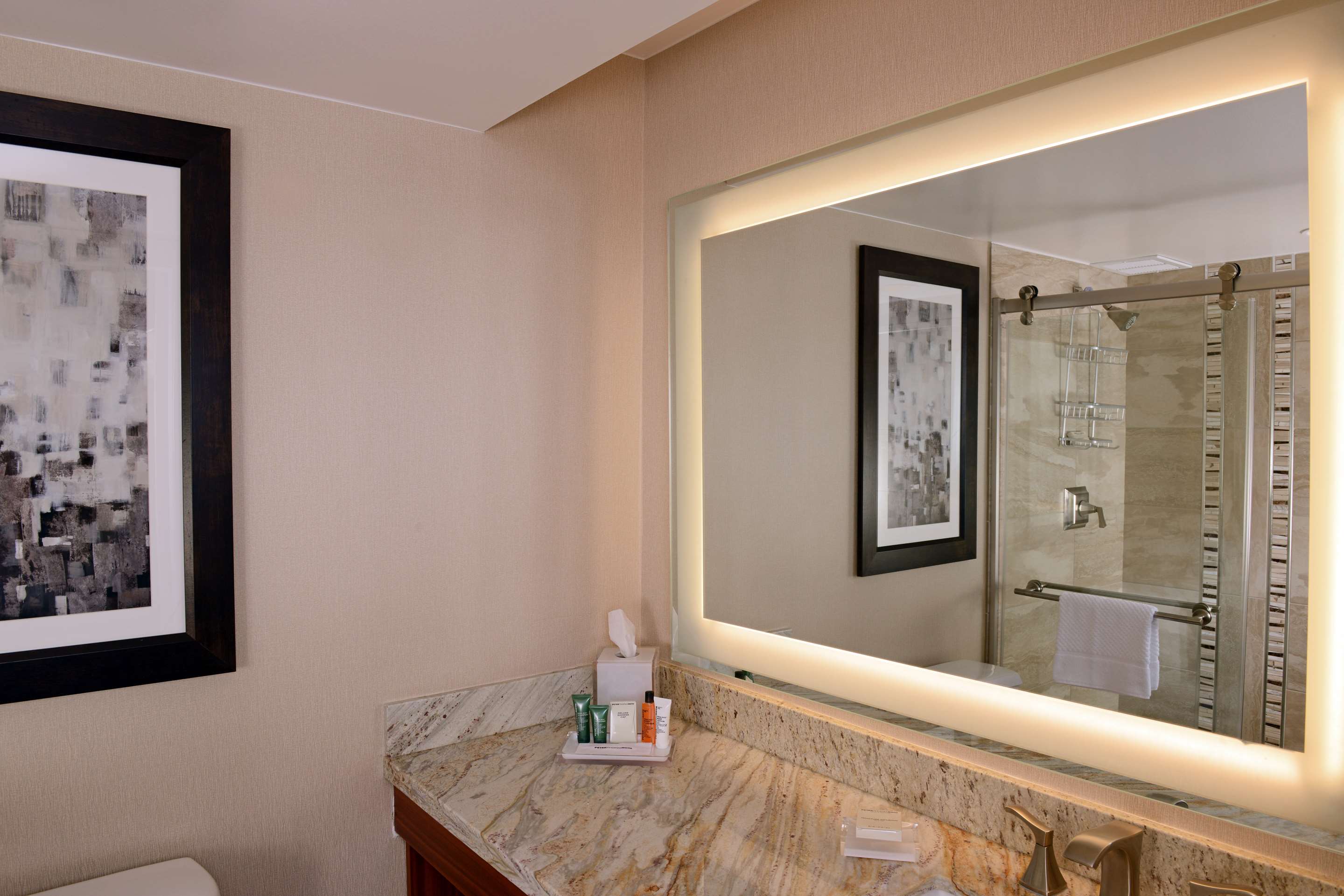 Guest room bath