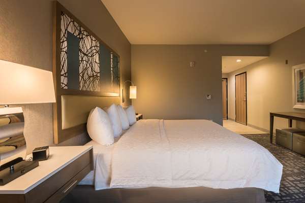  - Hampton Inn & Suites The Colony