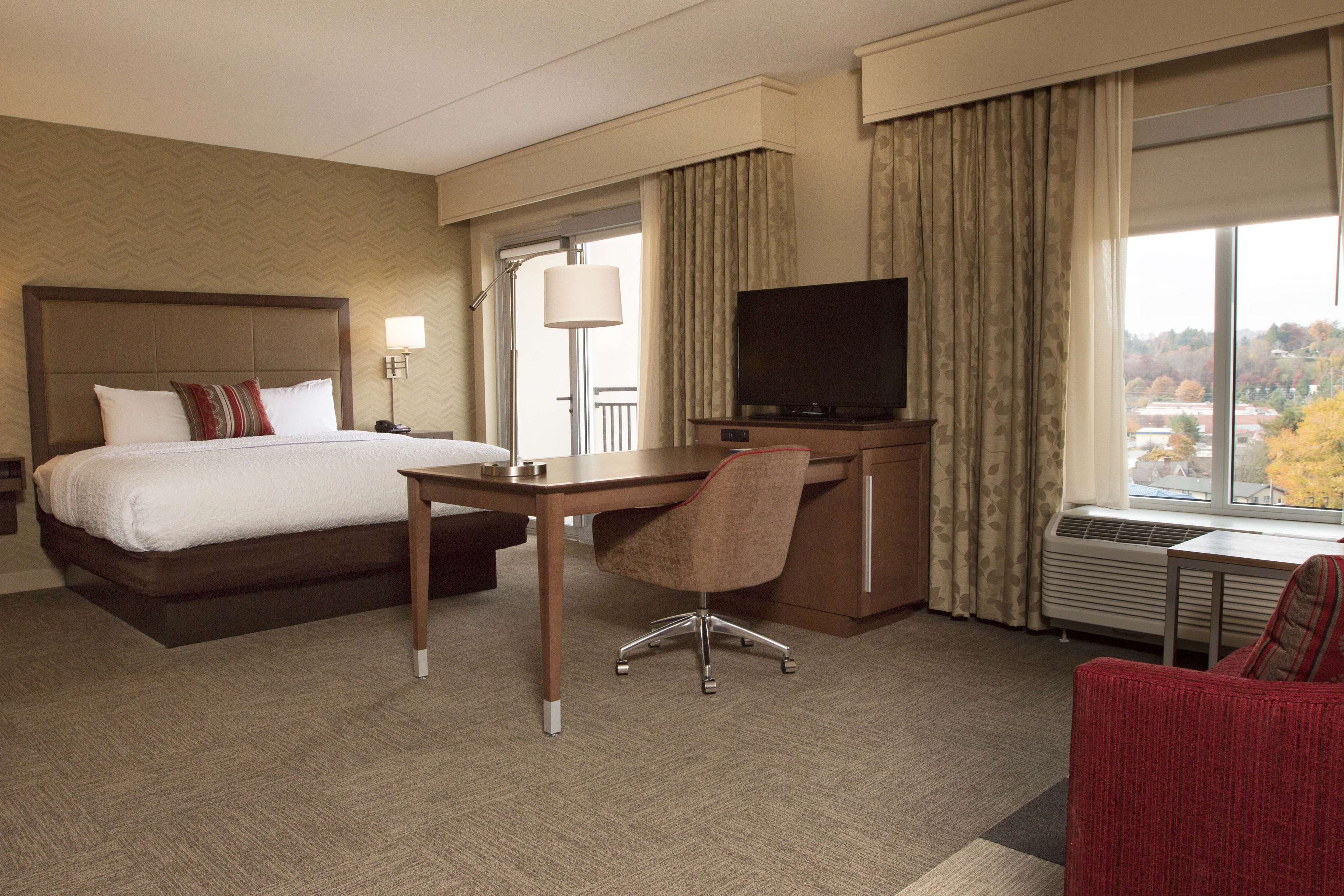 Hampton Inn & Suites by Hilton Boone Room Type - 1KN STDO W MIC FRG BALC NS