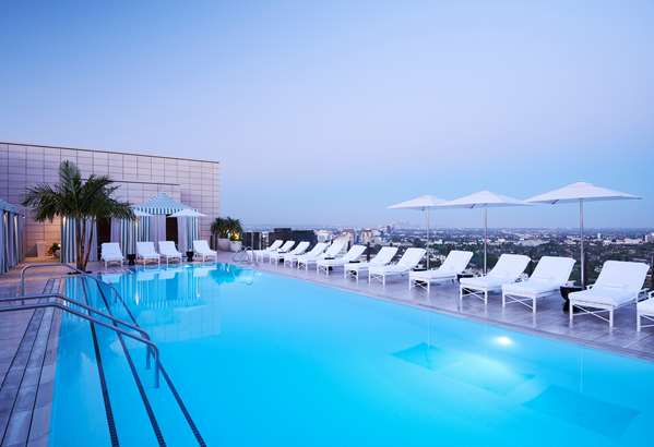 Pool - Waldorf Astoria Hotel Beverly Hills