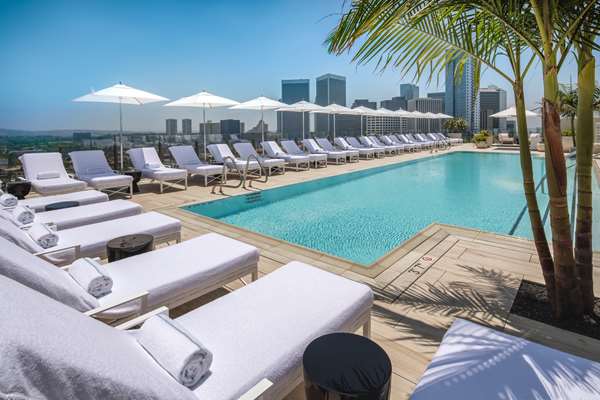 Pool - Waldorf Astoria Hotel Beverly Hills