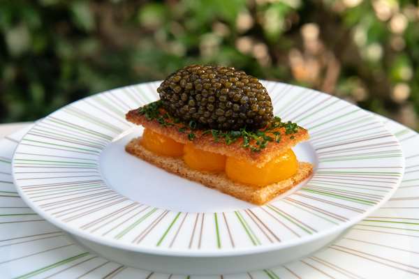 Restaurant - Waldorf Astoria Hotel Beverly Hills