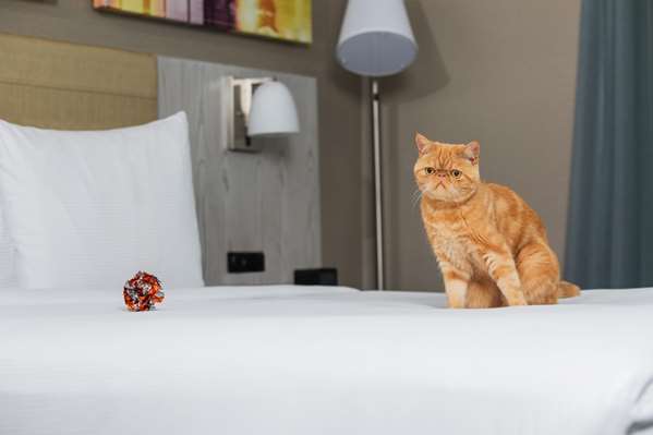  - DoubleTree by Hilton Hotel Times Square West New York City