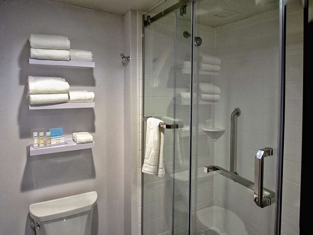 Hampton Inn & Suites by Hilton Moore Room Type - 1 KING SFBD MIC FRG NS
