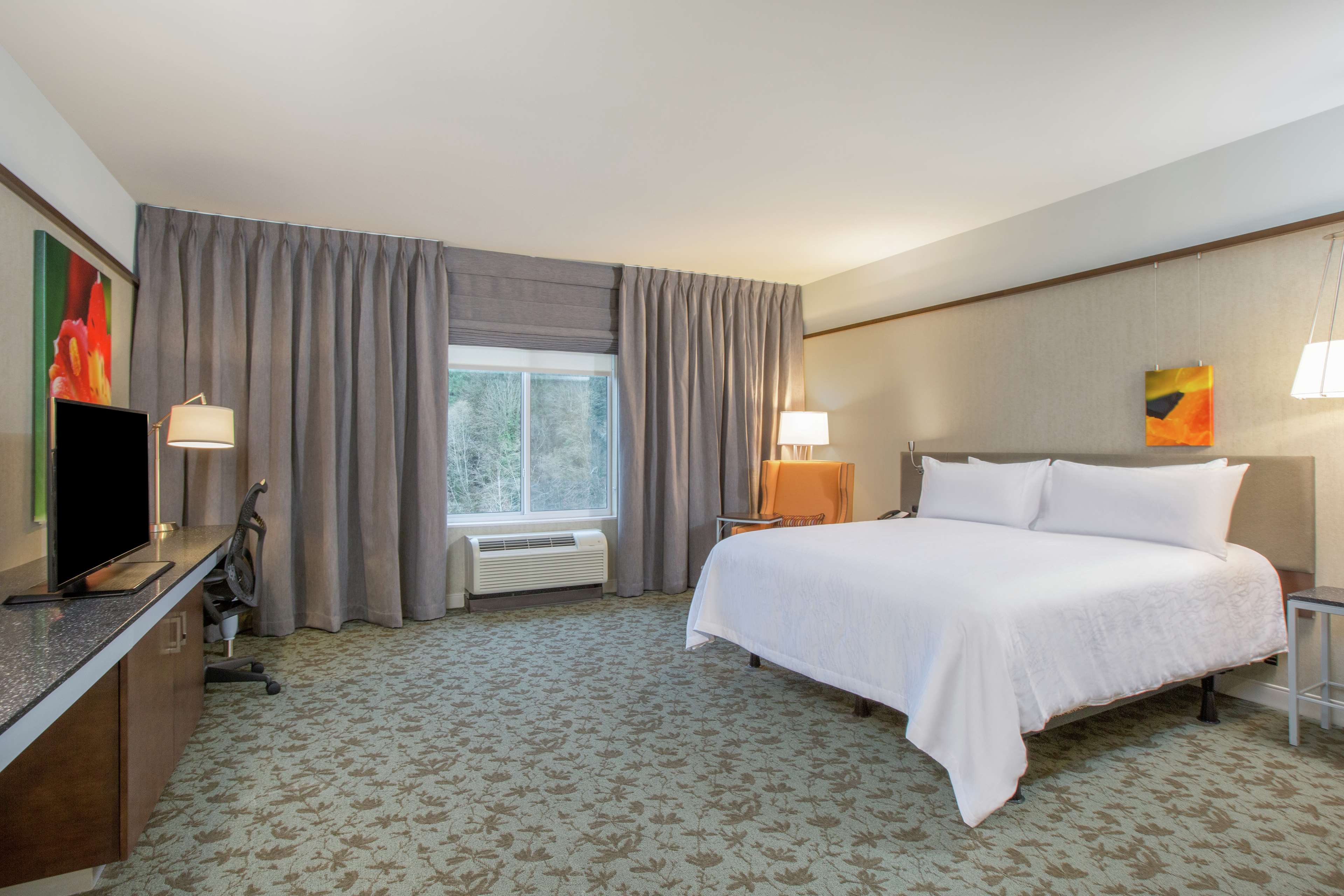 Hilton Garden Inn Olympia, WA Room Type - 1 KING BED