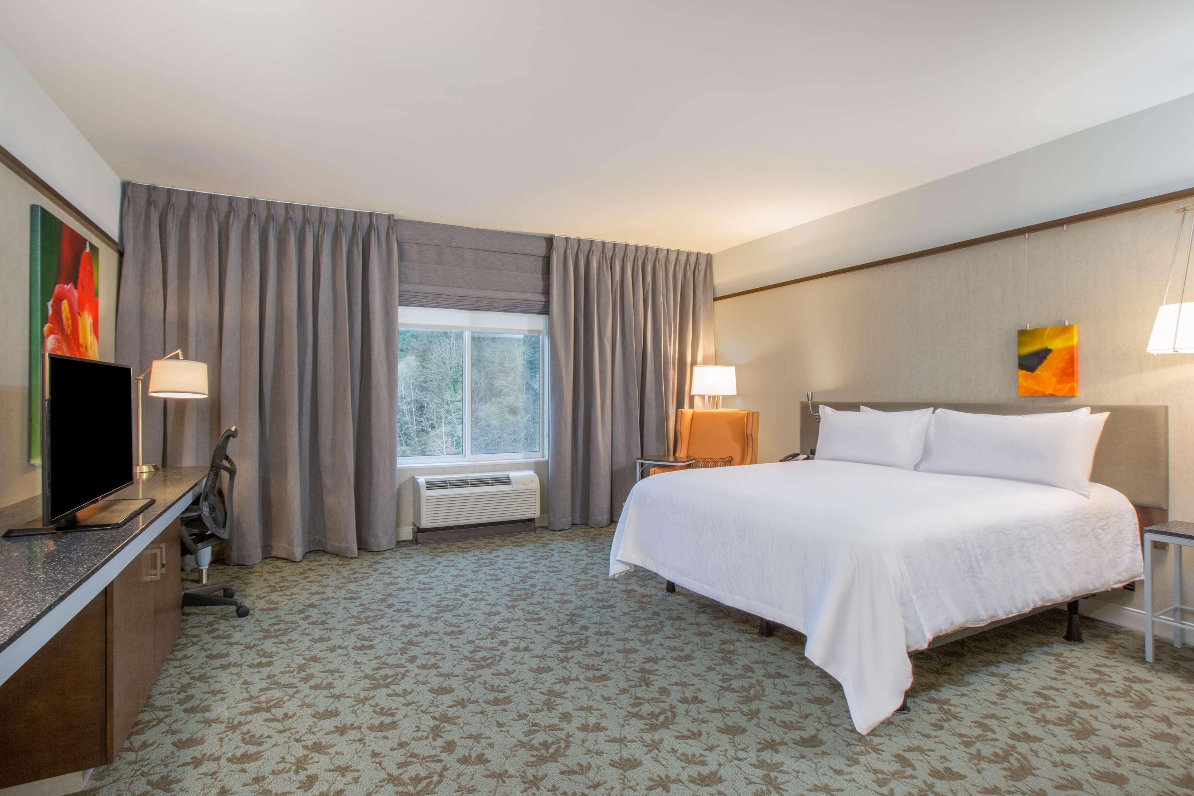 Hilton Garden Inn Olympia, WA Room Type - 1 KING ACC RM ROLLIN SHWR