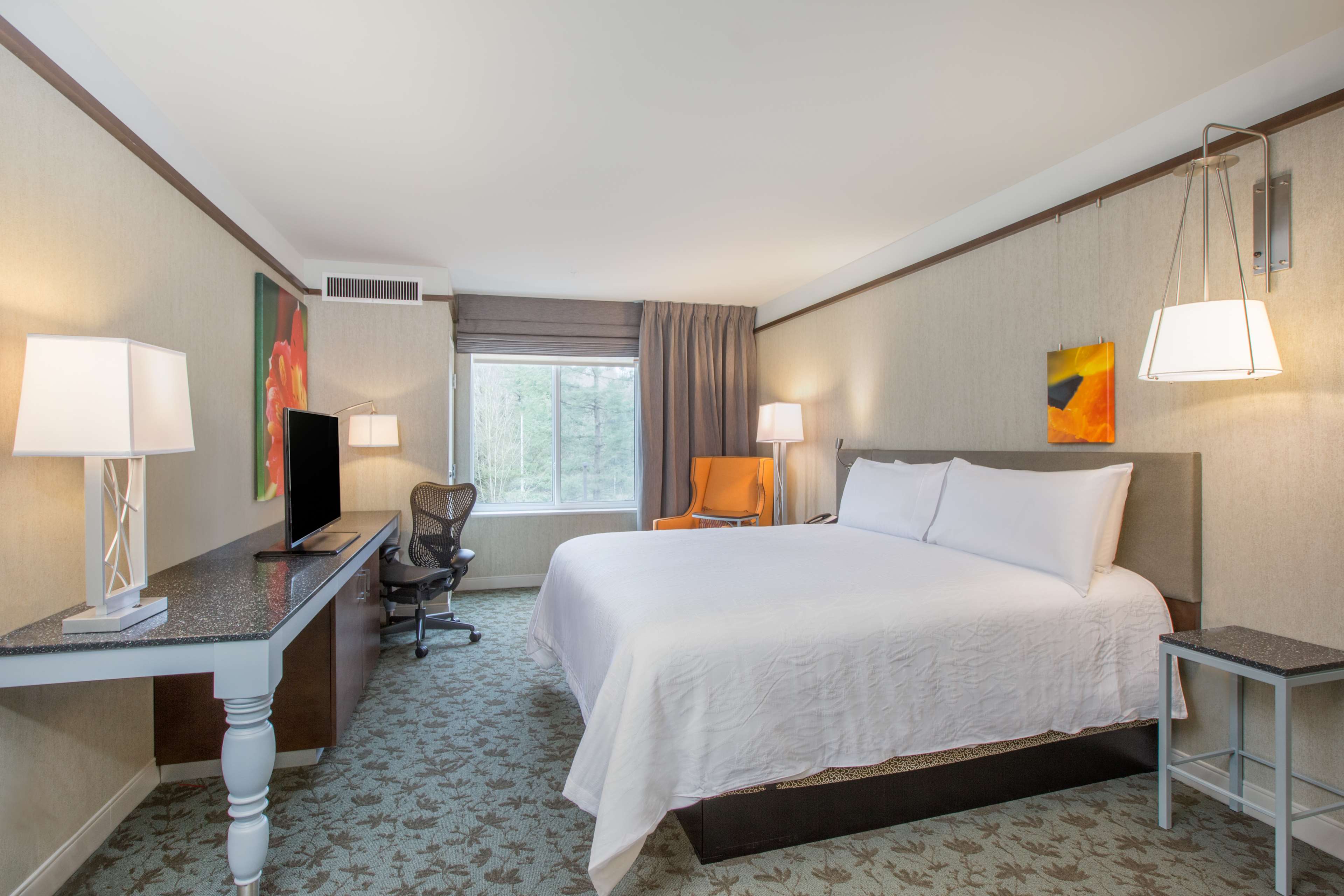 Hilton Garden Inn Olympia, WA Room Type - 1 KING HEARING ACCESSIBLE