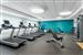 Health club  fitness center  gym