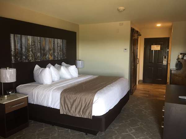 1 King Bed, Non-Smoking, Microwave And Refrigerator