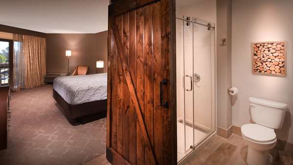 Suite-1 King Bed, Non-Smoking, Separate Bedroom, Sofabed, Microwave And Refrigerator