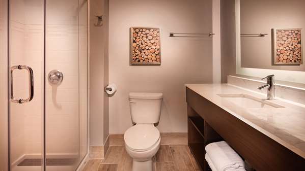 Suite-1 King Bed, Non-Smoking, Separate Bedroom, Sofabed, Microwave And Refrigerator