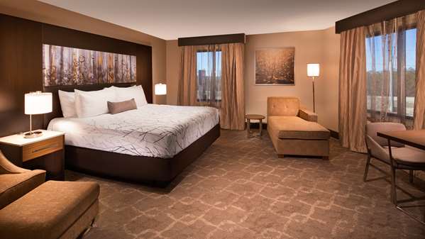 Suite - Aiden by Best Western Warm Springs Hotel & Event Center